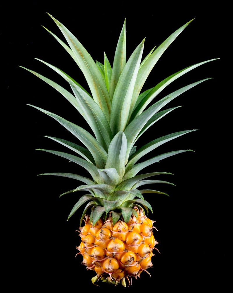 Pineapple Skewers